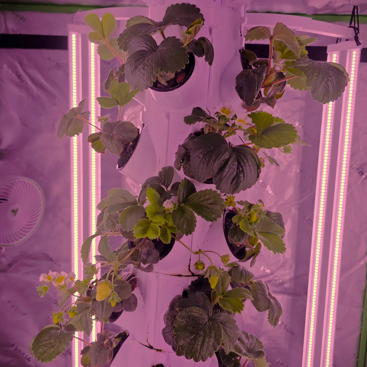 3d printable hydroponic tower.