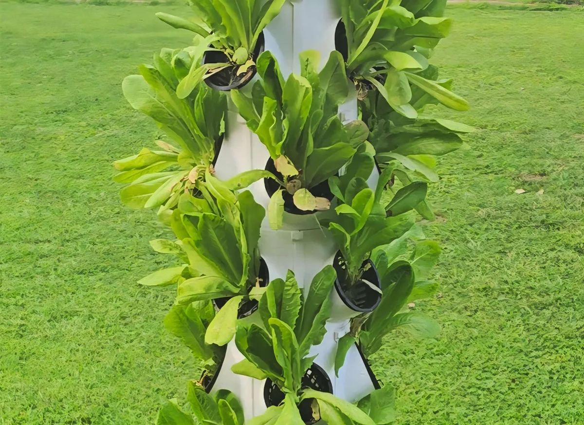 10 Level Hydroponic Tower System